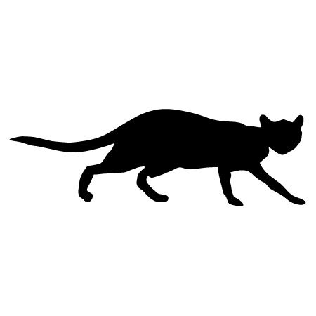 Sneaky Cat Iron on Decal